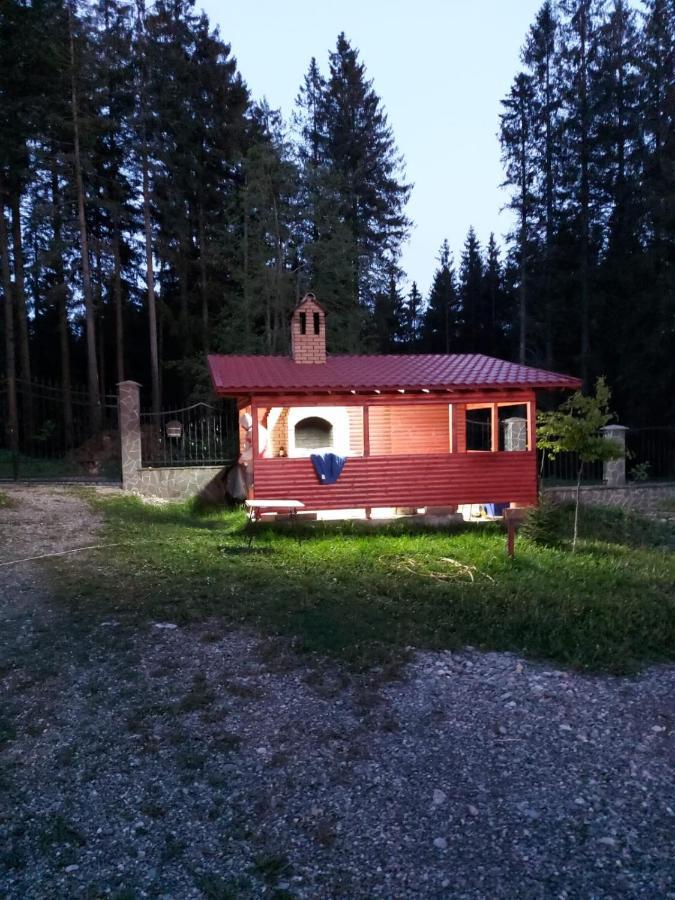 Casa De Vacanta Paraul Rece Luaran gambar