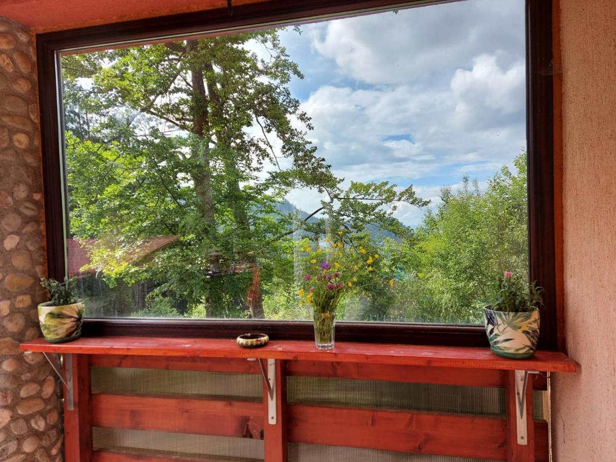 Casa De Vacanta Paraul Rece Luaran gambar