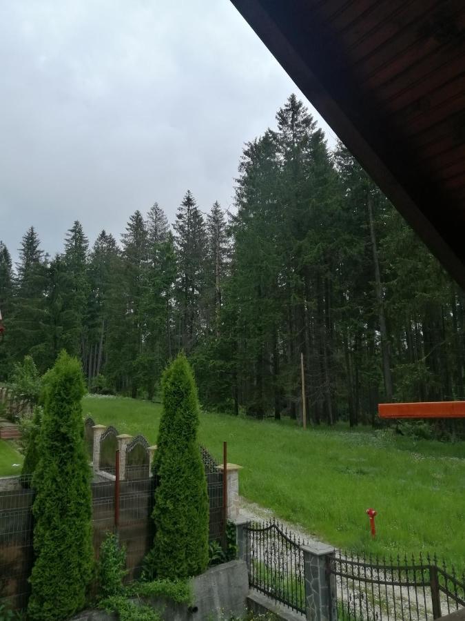 Casa De Vacanta Paraul Rece Luaran gambar