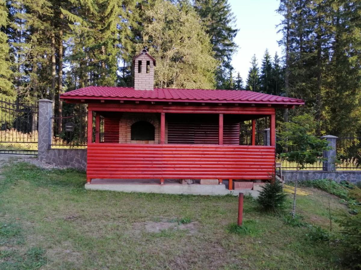 Casa De Vacanta Paraul Rece Luaran gambar