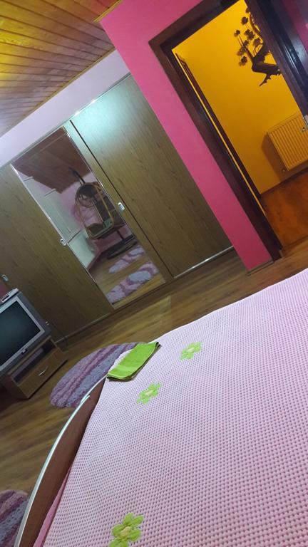 Casa De Vacanta Paraul Rece Luaran gambar
