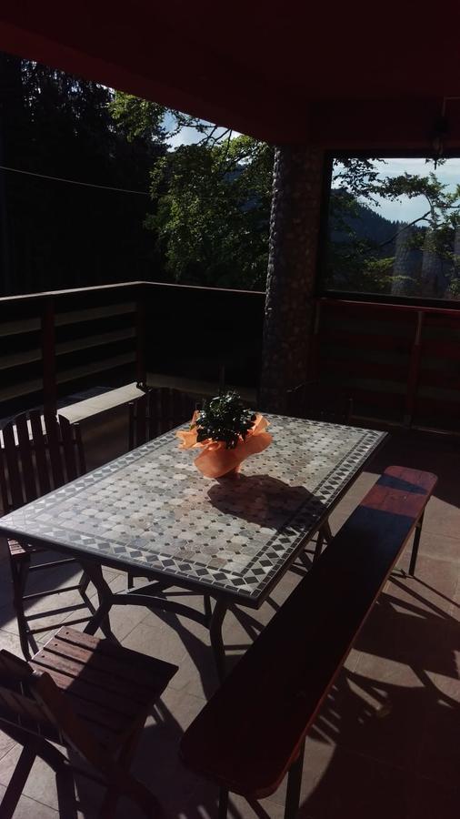 Casa De Vacanta Paraul Rece Luaran gambar